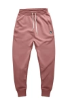 Dalix Astronaut Jogger Sweatpant In Mauve