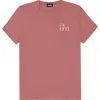 Dalix Be Kind Womens Relaxed Tee In Mauve