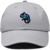 Dalix Chameleon Embroidered Dad Hat In Gray