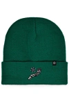 Dalix Chill Touch Beanie In Green