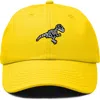 Dalix Fossil Embroidered Outdoor Hat In Gold