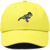 Dalix Fossil Embroidered Outdoor Hat In Yellow
