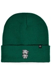Dalix Ice Bear Beanie In Green