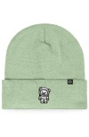 Dalix Ice Bear Beanie In Light Green