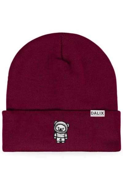 Dalix Ice Bear Beanie In Maroon