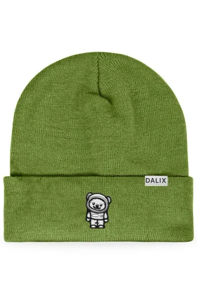 Dalix Ice Bear Beanie In Olive
