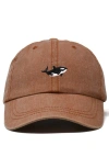 Dalix Killer Whale Embroidered Dad Hat In Brown