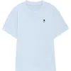 Dalix Mens Astronaut Heavyweight Pigment Dye Tee