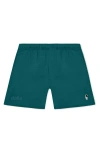 Dalix Mens Astronaut Midweight Beach Short In Green