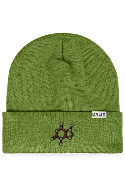 Dalix Molecule Beanie In Olive
