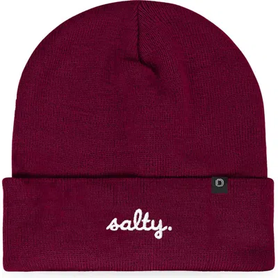 Dalix Salty Beanie Cap In Burgundy