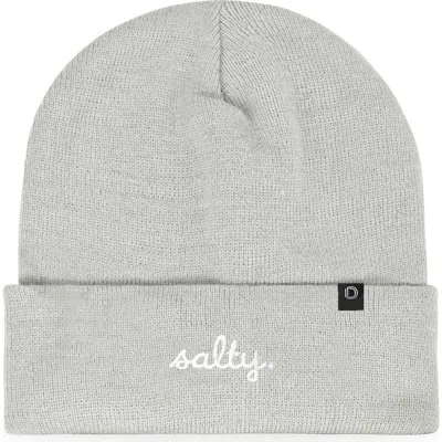 Dalix Salty Beanie Cap In Gray