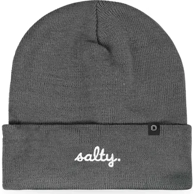 Dalix Salty Beanie Cap In Gray