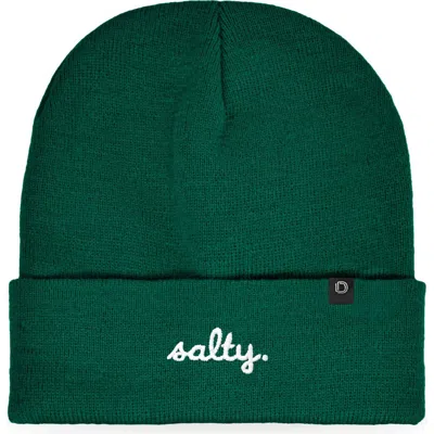 Dalix Salty Beanie Cap In Green