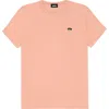 Dalix Womens Lil Coffee Jersey Tee In Brown