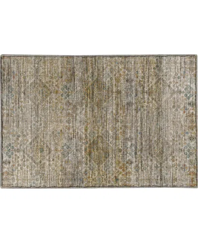 Dalyn Aristo Ar1 1'8"x2'6" Area Rug In Animal Print