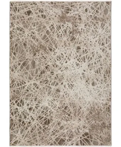 Dalyn Denizi Dz4 Area Rug In Brown