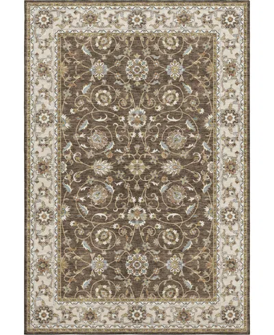 Dalyn Hatay Washable Hy1 8'x10' Area Rug In Chocolate