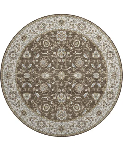 Dalyn Hatay Washable Hy1 8'x8' Round Area Rug In Chocolate