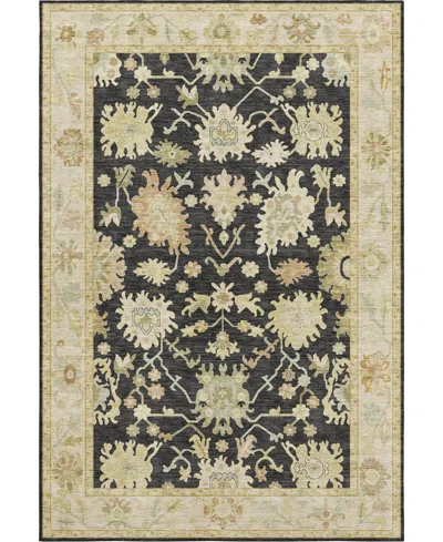 Dalyn Hatay Washable Hy2 2'6"x3'10" Area Rug In Black