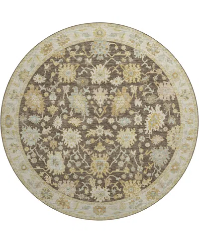 Dalyn Hatay Washable Hy2 8'x8' Round Area Rug In Chocolate