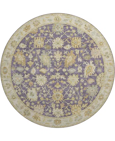 Dalyn Hatay Washable Hy2 8'x8' Round Area Rug In Eggplant
