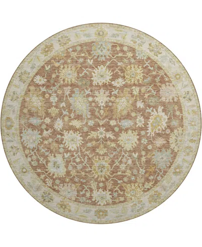 Dalyn Hatay Washable Hy2 8'x8' Round Area Rug In Paprika
