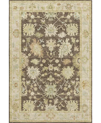 Dalyn Hatay Washable Hy2 9'x12' Area Rug In Chocolate