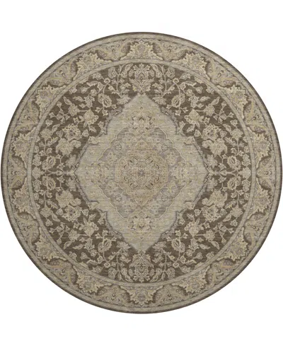 Dalyn Hatay Washable Hy3 8'x8' Round Area Rug In Chocolate
