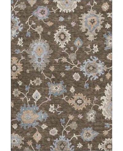 Dalyn Hatay Washable Hy4 8'x10' Area Rug In Chocolate