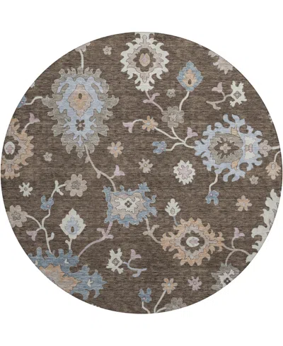 Dalyn Hatay Washable Hy4 8'x8' Round Area Rug In Chocolate