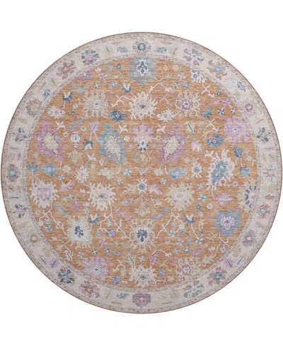 Dalyn Hatay Washable Hy7 8'x8' Round Area Rug In Orange