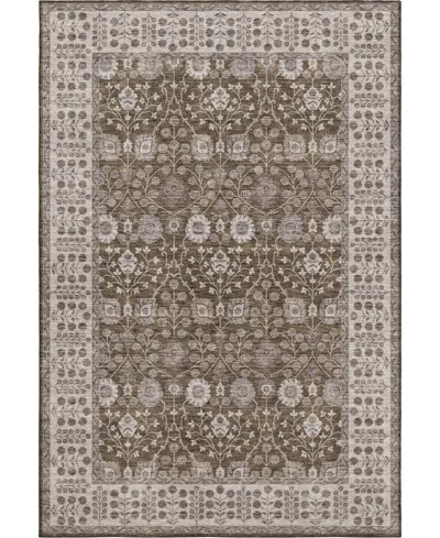 Dalyn Hatay Washable Hy8 9'x12' Area Rug In Chocolate