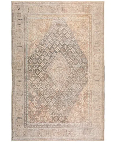 Dalyn Kars Ka11 10'x13' Area Rug In Brown