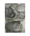 Dalyn Odyssey Oy14 10' X 14' Area Rug In Charcoal
