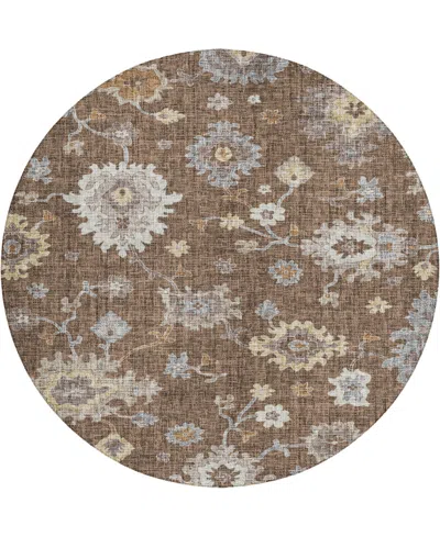 Dalyn Portico Po6 8'x8' Round Area Rug In Brown