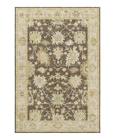 Dalyn Rug Company Hatay Hy2 Area Rug, 3' X 5' In Chocolate