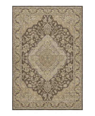 Dalyn Rug Company Hatay Hy3 Area Rug, 2'6 X 3'10 In Chocolate