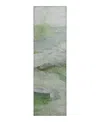 Dalyn Rug Company Dalyn Ravenna Washable Rn11 Runner Area Rug, 2'3 X 7'6 In Green