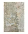 Dalyn Rug Company Dalyn Ravenna Washable Rn3 Area Rug, 9' X 12' In Brown