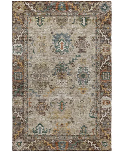 Dalyn Silk Road Sr5 3'x5' Area Rug In Brown