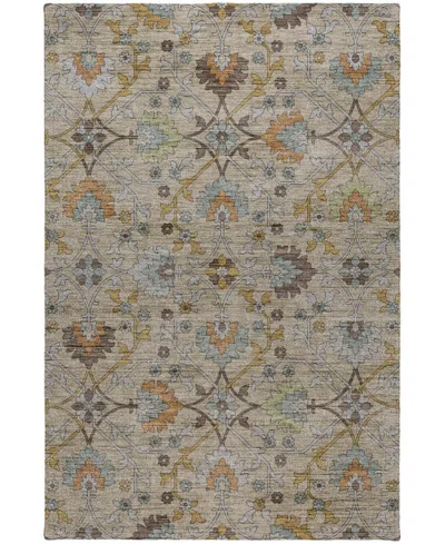Dalyn Silk Road Washable Sr1 3'x5' Area Rug In Brown