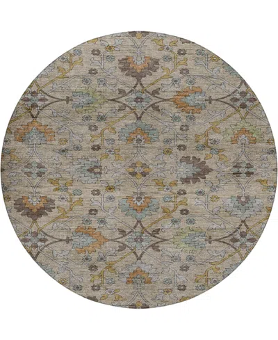 Dalyn Silk Road Washable Sr1 8'x8' Round Area Rug In Brown