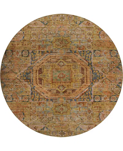 Dalyn Silk Road Washable Sr10 8'x8' Round Area Rug In Yellow