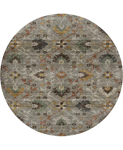 Dalyn Silk Road Washable Sr4 8'x8' Round Area Rug In Gray