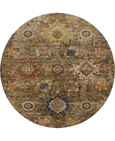 Dalyn Silk Road Washable Sr9 8'x8' Round Area Rug In Brown