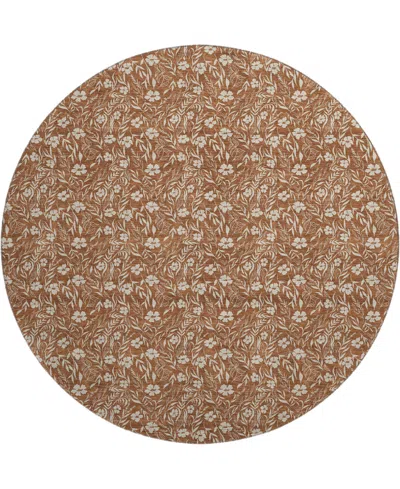 Dalyn Soft Essentials Machine Washable Se4 8'x8' Round Area Rug In Multi