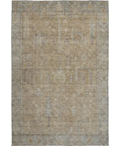 Dalyn Solace Sl11 3'x5' Area Rug In Brown