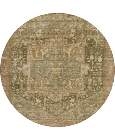 Dalyn Solace Sl14 8'x8' Round Area Rug In Brown