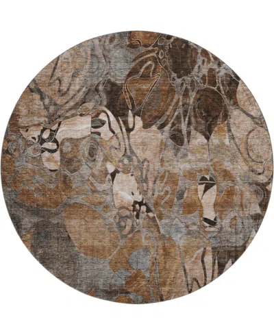 Dalyn Trevi Washable Tv17 8'x8' Round Area Rug In Paprika